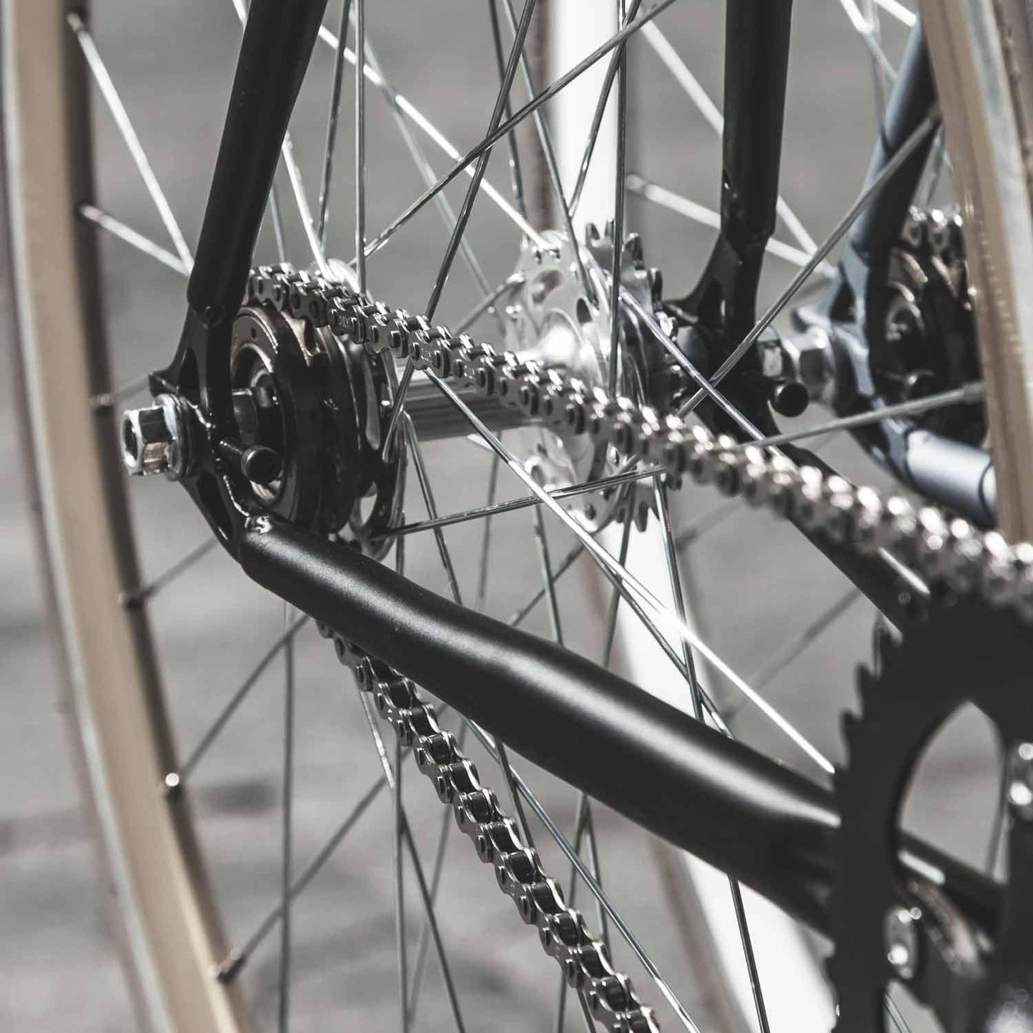 CHAINE 1V TÖLS SINGLE SPEED CHAIN - WIDE - OURS VÉLOS