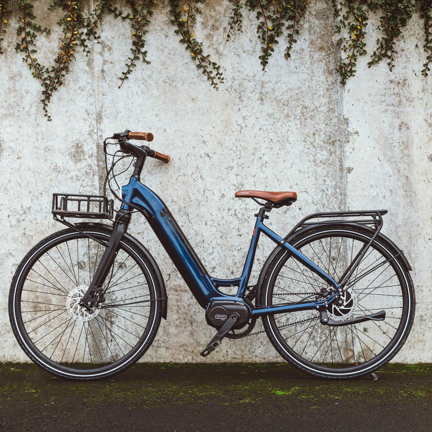 KUMA SX - OURS VÉLOS