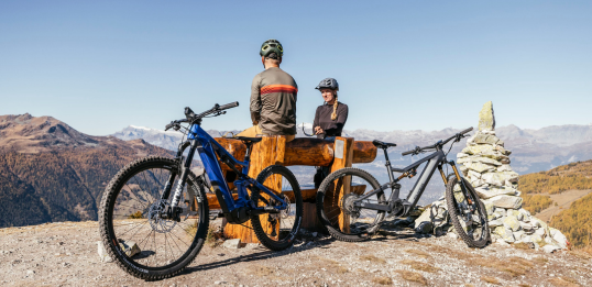 Vélo électrique DEMO d’essai FLYER Uproc X 2.10 - dès 77,07 €/mois*