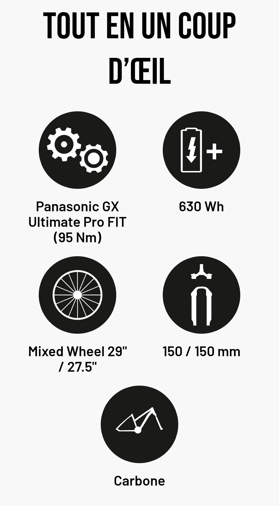 Vélo électrique DEMO d’essai FLYER Uproc X 2.10 - dès 77,07 €/mois*