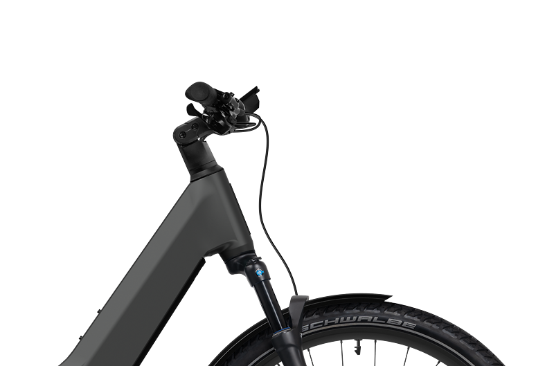 Velo DEMO / d'essai FLYER Goroc TR 7.33 - PINION E1.9 MGU Moteur avec Boitier de 9 Vitesses Automatiques